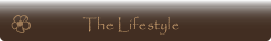 The Lifestyle